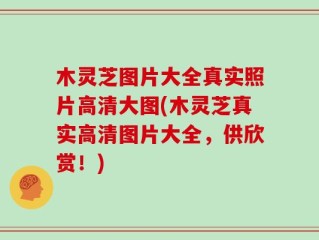 木灵芝图片大全真实照片高清大图(木灵芝真实高清图片大全，供欣赏！)