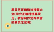 黑灵芝正确做法视频大全(学会正确种植黑灵芝，教你制作营养丰富的黑灵芝菜肴)