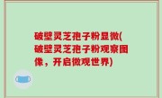 破壁灵芝孢子粉显微(破壁灵芝孢子粉观察图像，开启微观世界)