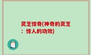 灵芝惊奇(神奇的灵芝：惊人的功效)