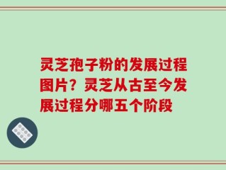 灵芝孢子粉的发展过程图片？灵芝从古至今发展过程分哪五个阶段