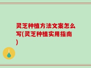 灵芝种植方法文案怎么写(灵芝种植实用指南)