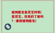 植物医生紫灵芝种草(紫灵芝，你真的了解吗？-重修植物医生)