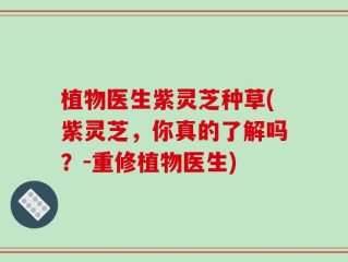 植物医生紫灵芝种草(紫灵芝，你真的了解吗？-重修植物医生)