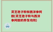 灵芝孢子粉和西洋参阿胶(灵芝孢子粉与西洋参阿胶的养生功效)
