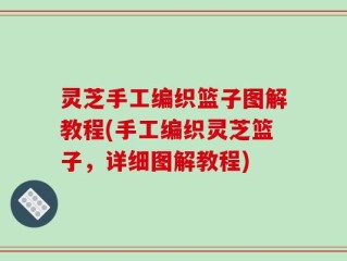 灵芝手工编织篮子图解教程(手工编织灵芝篮子，详细图解教程)