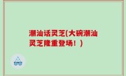潮汕话灵芝(大碗潮汕灵芝隆重登场！)