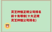 灵芝种植正规公司排名前十有哪些(十大正规灵芝种植公司排名)