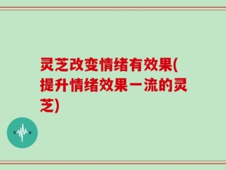 灵芝改变情绪有效果(提升情绪效果一流的灵芝)