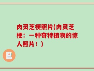 肉灵芝梗照片(肉灵芝梗：一种奇特植物的惊人照片！)