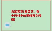 乌紫灵芝(紫灵芝：在中药材中的荣耀再次闪耀)