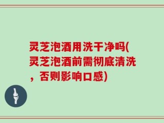 灵芝泡酒用洗干净吗(灵芝泡酒前需彻底清洗，否则影响口感)