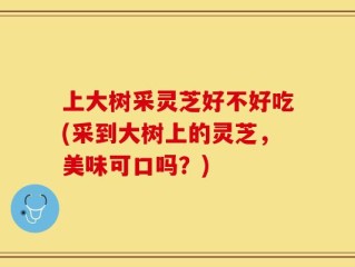 上大树采灵芝好不好吃(采到大树上的灵芝，美味可口吗？)