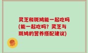 灵芝和斑鸠能一起吃吗(能一起吃吗？灵芝与斑鸠的营养搭配建议)