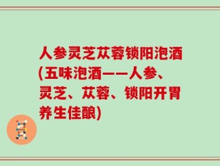 人参灵芝苁蓉锁阳泡酒(五味泡酒——人参、灵芝、苁蓉、锁阳开胃养生佳酿)