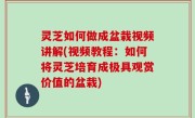灵芝如何做成盆栽视频讲解(视频教程：如何将灵芝培育成极具观赏价值的盆栽)