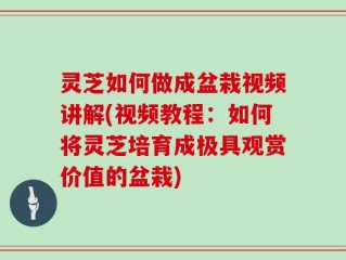 灵芝如何做成盆栽视频讲解(视频教程：如何将灵芝培育成极具观赏价值的盆栽)