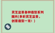 灵芝盆景各种造型系列图片(多彩灵芝盆景，创意造型一览！)