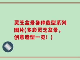灵芝盆景各种造型系列图片(多彩灵芝盆景，创意造型一览！)