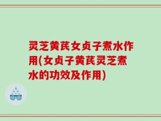 灵芝黄芪女贞子煮水作用(女贞子黄芪灵芝煮水的功效及作用)