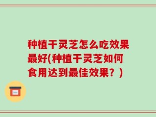 种植干灵芝怎么吃效果最好(种植干灵芝如何食用达到最佳效果？)