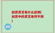 剑灵灵芝有什么区别(剑灵中的灵芝有何不同)
