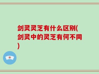 剑灵灵芝有什么区别(剑灵中的灵芝有何不同)