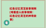 红色记忆灵芝故事视频(观看感人故事视频：红色记忆灵芝的神奇故事)