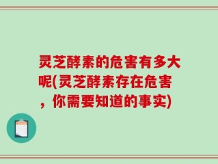 灵芝酵素的危害有多大呢(灵芝酵素存在危害，你需要知道的事实)