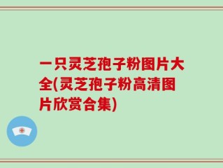 一只灵芝孢子粉图片大全(灵芝孢子粉高清图片欣赏合集)
