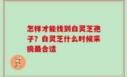 怎样才能找到白灵芝孢子？白灵芝什么时候采摘最合适