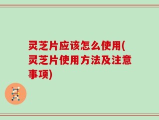 灵芝片应该怎么使用(灵芝片使用方法及注意事项)