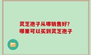 灵芝孢子从哪销售好？哪里可以买到灵芝孢子