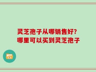 灵芝孢子从哪销售好？哪里可以买到灵芝孢子