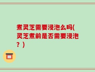 煮灵芝需要浸泡么吗(灵芝煮前是否需要浸泡？)