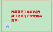 西藏灵芝工布江达(西藏江达灵芝产业发展与变革)