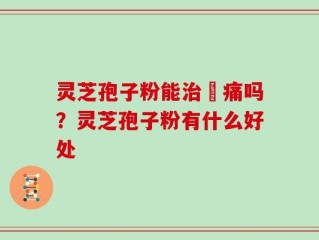灵芝孢子粉能治庝痛吗？灵芝孢子粉有什么好处