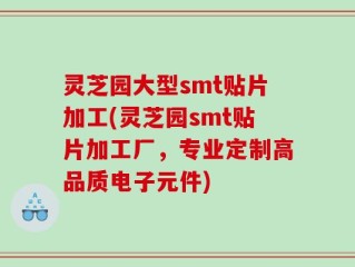 灵芝园大型smt贴片加工(灵芝园smt贴片加工厂，专业定制高品质电子元件)