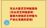 东北大集灵芝种植基地(东北灵芝种植基地：集聚大规模灵芝种植与产业化发展的宝地)