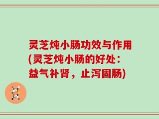 灵芝炖小肠功效与作用(灵芝炖小肠的好处：益气补肾，止泻固肠)