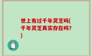 世上有过千年灵芝吗(千年灵芝真实存在吗？)