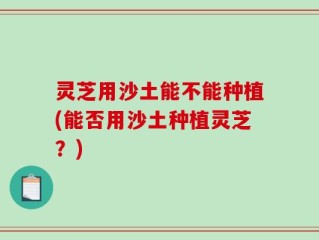 灵芝用沙土能不能种植(能否用沙土种植灵芝？)
