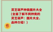 灵芝葫芦种类图片大全(全面了解不同种类的灵芝葫芦：图片大全、品种介绍！)