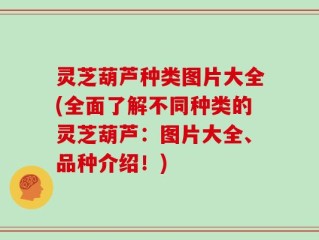 灵芝葫芦种类图片大全(全面了解不同种类的灵芝葫芦：图片大全、品种介绍！)