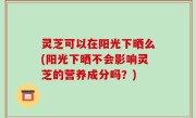 灵芝可以在阳光下晒么(阳光下晒不会影响灵芝的营养成分吗？)
