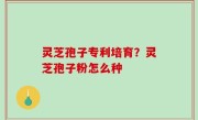 灵芝孢子专利培育？灵芝孢子粉怎么种