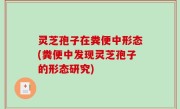 灵芝孢子在粪便中形态(粪便中发现灵芝孢子的形态研究)