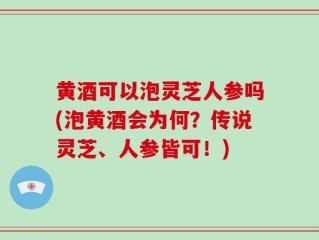 黄酒可以泡灵芝人参吗(泡黄酒会为何？传说灵芝、人参皆可！)