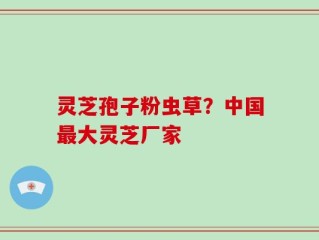 灵芝孢子粉虫草？中国最大灵芝厂家