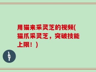 用猫来采灵芝的视频(猫爪采灵芝，突破技能上限！)
